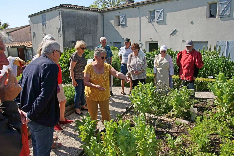 Jardin mdival St Sulpice de Royan